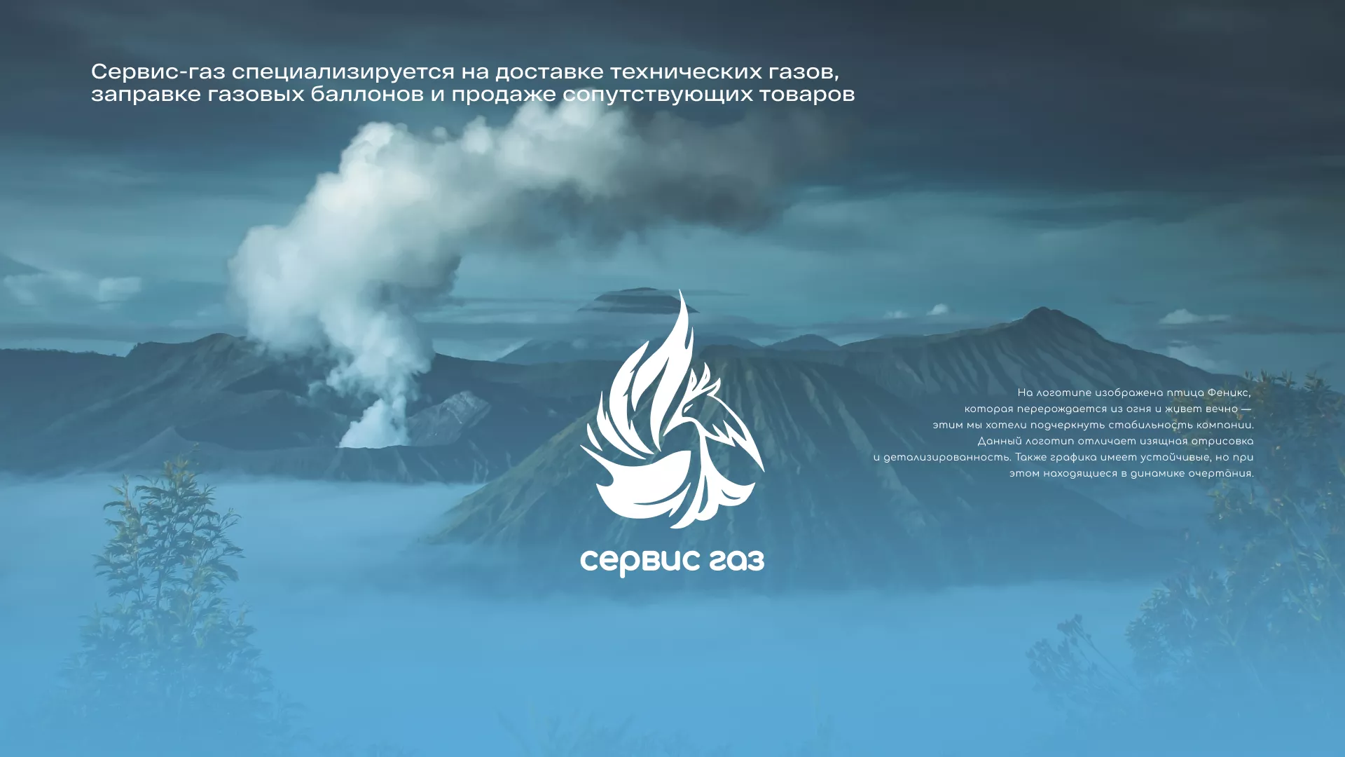 Создание сайта компании «Сервис газ» в Светлогорске