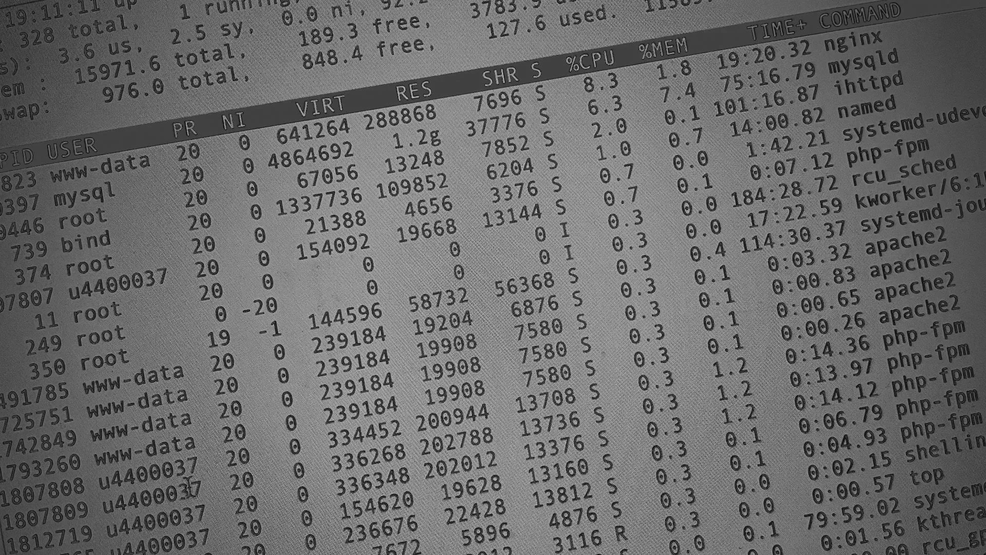 Настройка сервера в Светлогорске