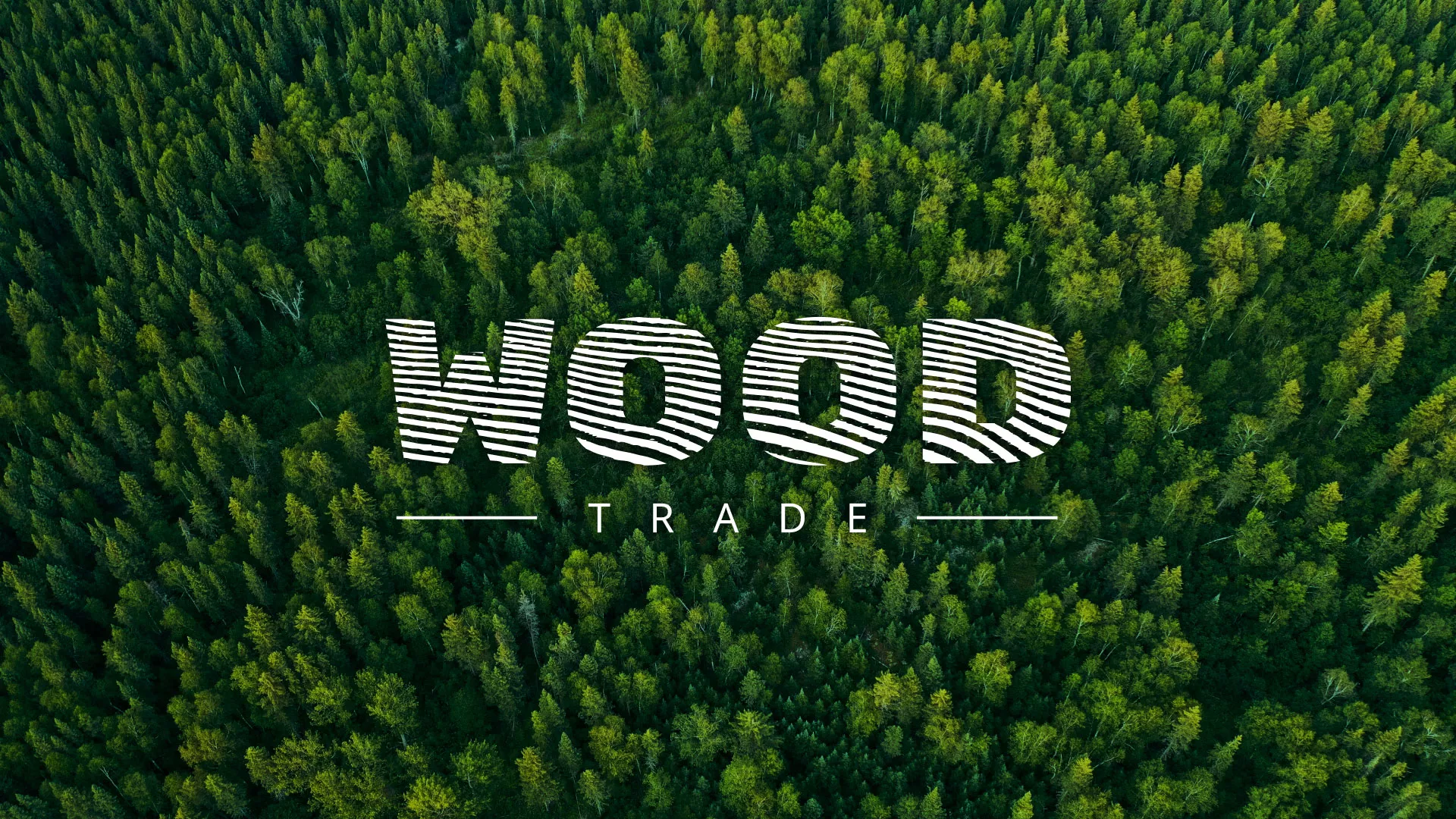 Разработка интернет-магазина компании «Wood Trade» в Светлогорске